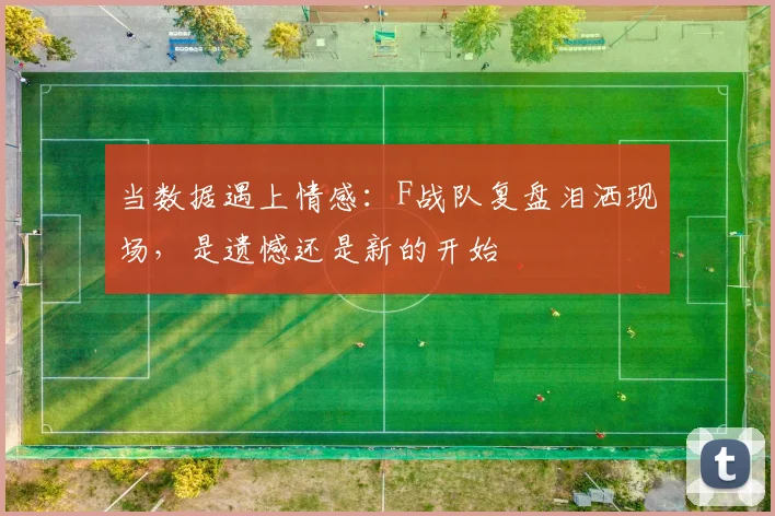 当数据遇上情感:F战队复盘泪洒现场,是遗憾还是新的开始