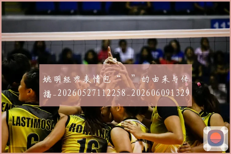 姚明经典表情包“囧”的由来与传播_20260527112258_20260609132957
